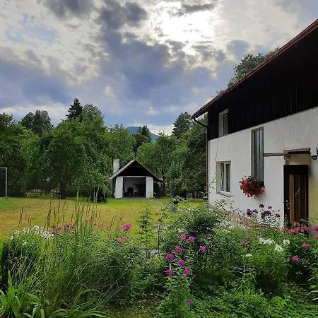 Apartmany Waldex Jetrichovice  Exterior photo